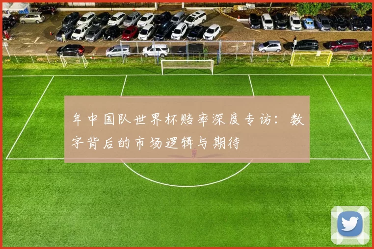 年中国队世界杯赔率深度专访：数字背后的市场逻辑与期待