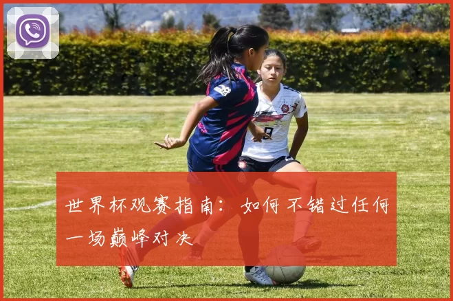 世界杯观赛指南：如何不错过任何一场巅峰对决