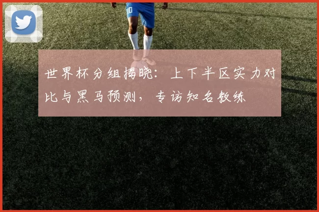 世界杯分组揭晓：上下半区实力对比与黑马预测，专访知名教练