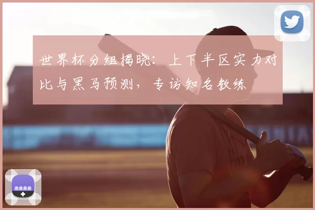 世界杯分组揭晓：上下半区实力对比与黑马预测，专访知名教练
