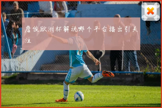 詹俊欧洲杯解说哪个平台播出引关注