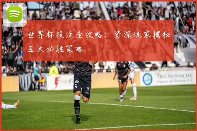 世界杯投注全攻略：资深玩家揭秘五大必胜策略
