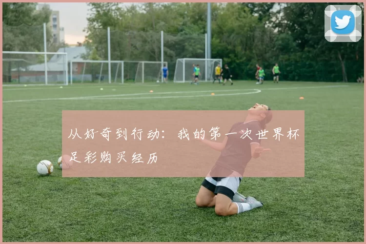 从好奇到行动:我的第一次世界杯足彩购买经历