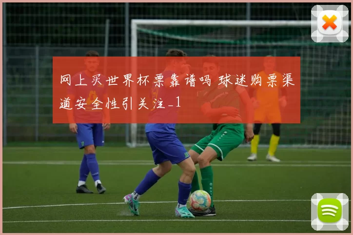 网上买世界杯票靠谱吗 球迷购票渠道安全性引关注_1