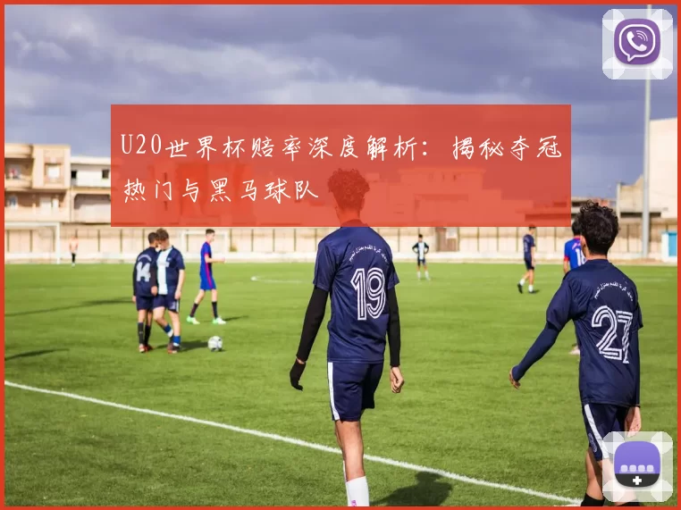 U20世界杯赔率深度解析：揭秘夺冠热门与黑马球队